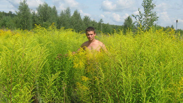 Рафаэль Башаров