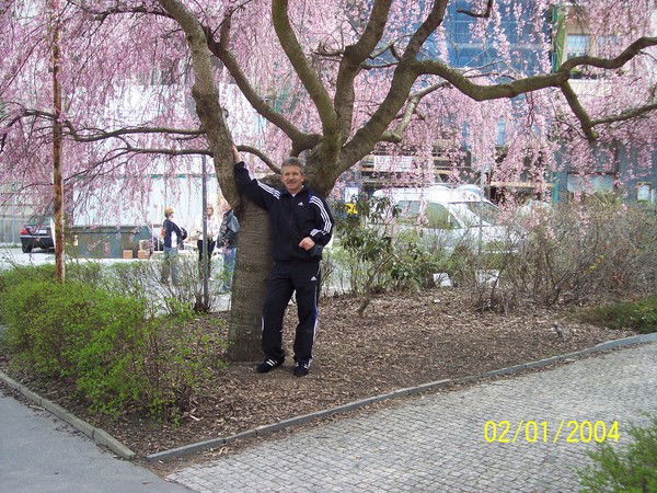 Александр Золотозубов