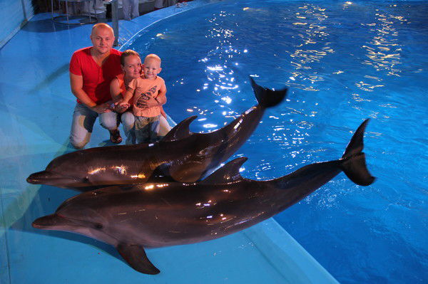 Александр Ляшенко