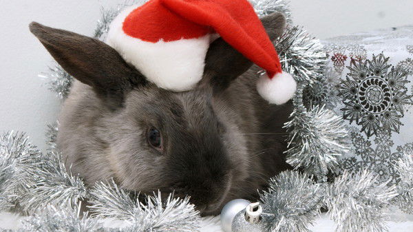 Александр Зайцев