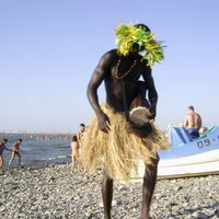 Дмитрий Панарин