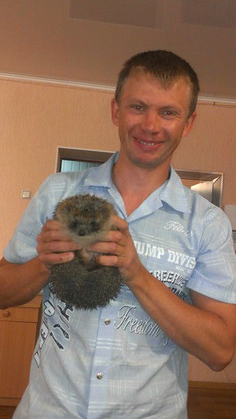 Александр Бутко