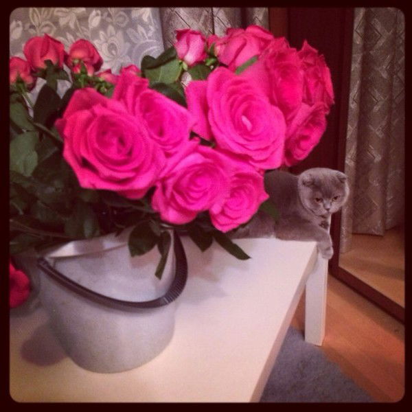 Каролина Лазарева