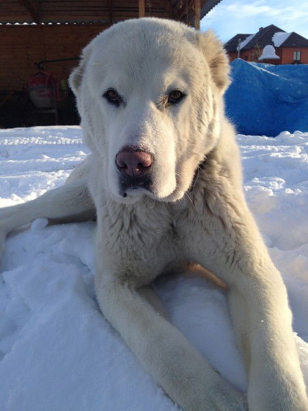 Александр Баринов