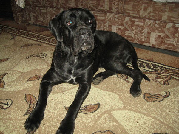 Валентина Луцевич