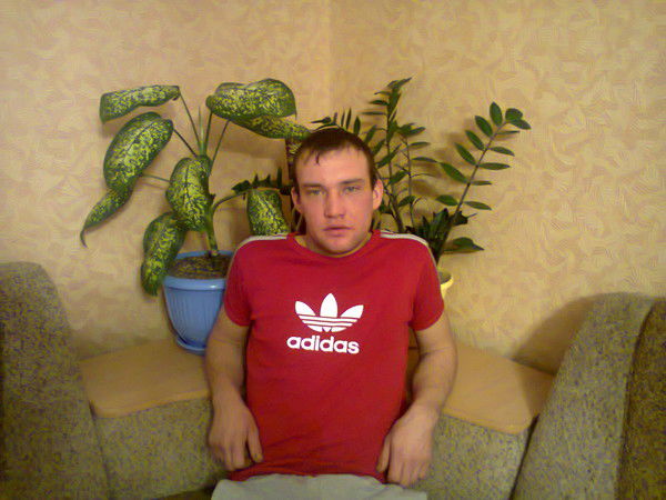 Андрей Соколов