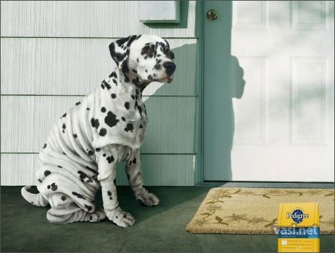 Фрося Бурлакова