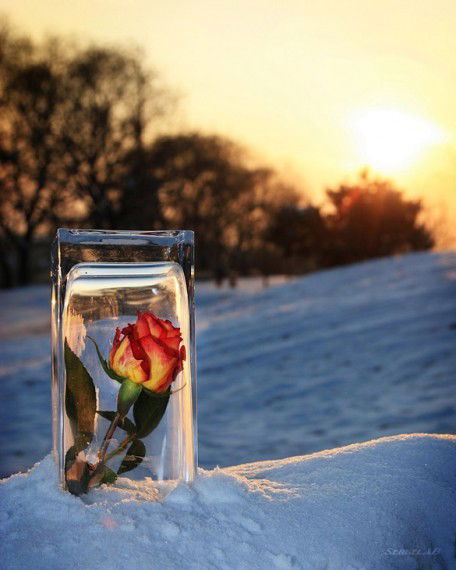 Дима Еремеев