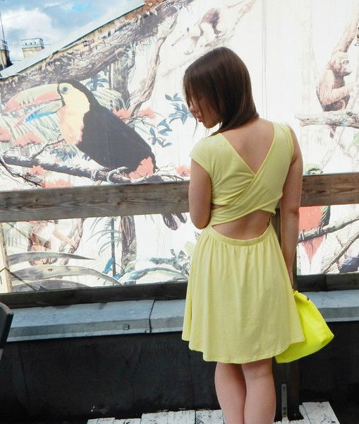 Олли Зиневич