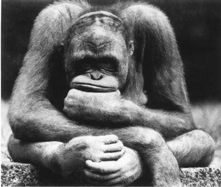 Антон Тансыкбаев