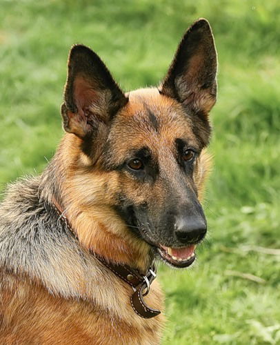 Вера Хренова