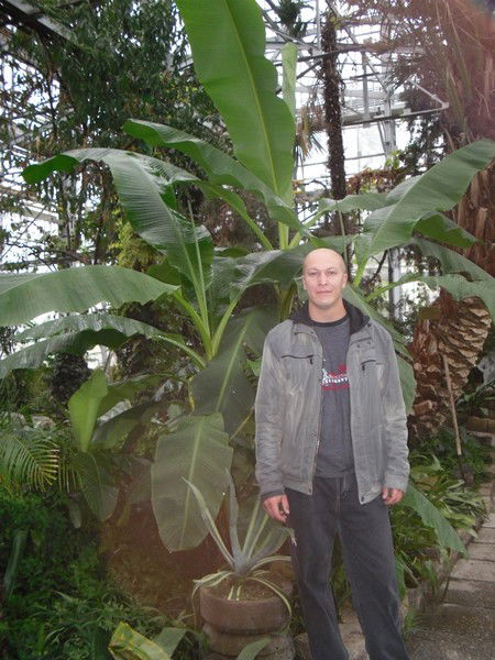 Максим Войнов