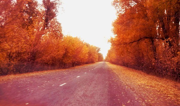 Ринат Махмутов