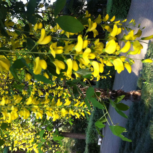 Ольга Иванова