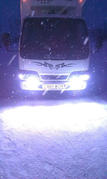 Виталий Чесановский