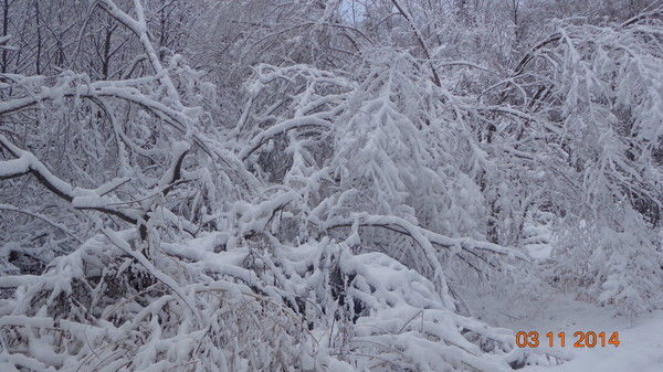 Евгений Берестенников