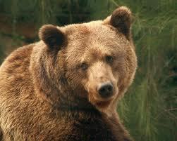 Серж Евстигнеев