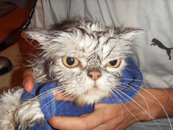 Олеся Жукова