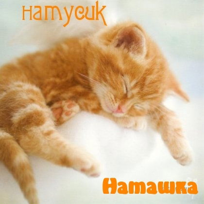 Наталья Сычёва