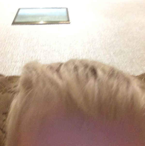 Светлана Журихина