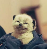 Анна Жукова