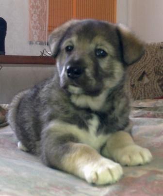 Юрий Ефимов