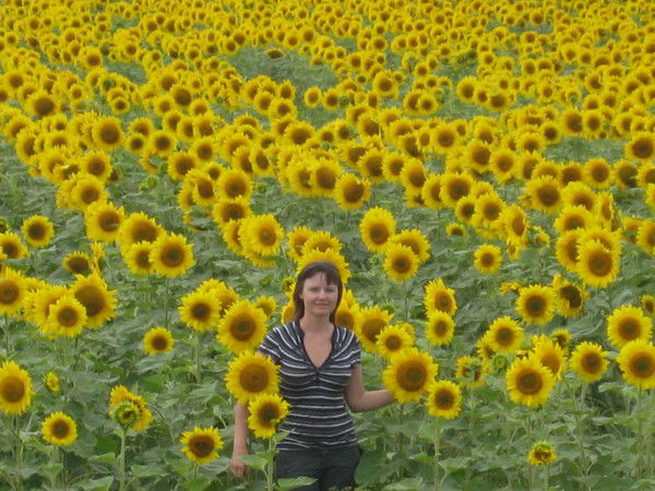 Елена Кутовая