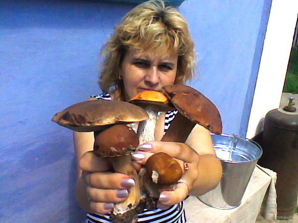 Светлана Вергелес