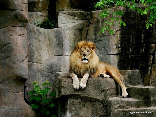 Акылхан Ермаханов