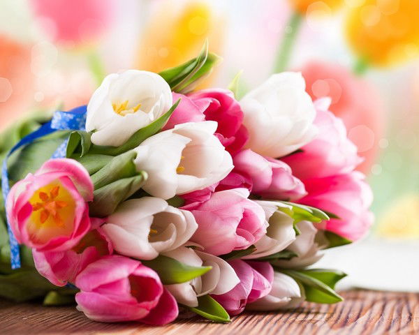 Наталья Буклова