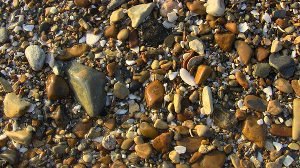 Алия Нуржанова