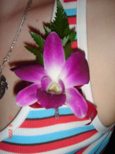 Лариса Стурова