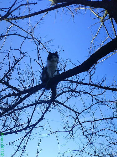 Вероника Батурова