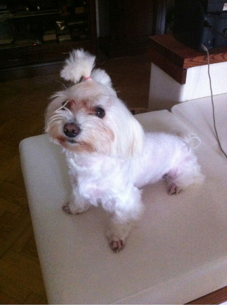 Валентина Хорунжая