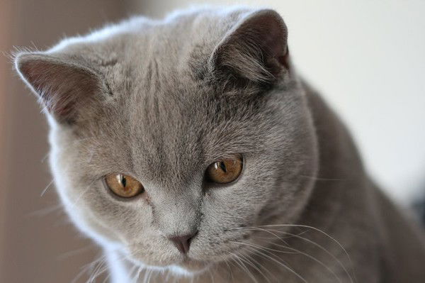 (((Настёна )))