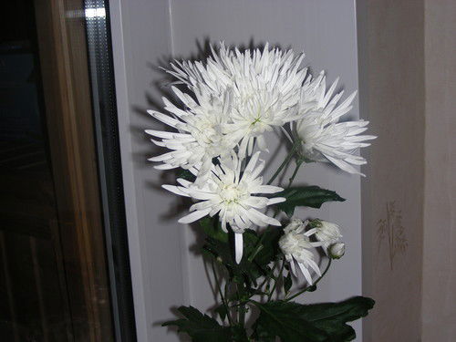 Наталья Горалевская