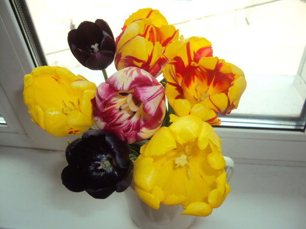 Дарья Пономарёва