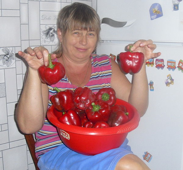 Алла Шатунова