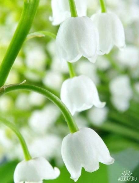 Евгения Куницкая