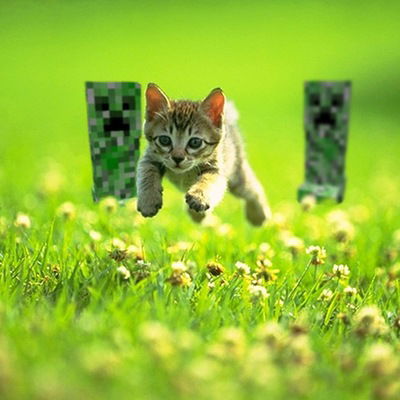 Сергей Микушин