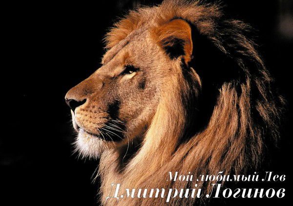 Дмитрий Логинов