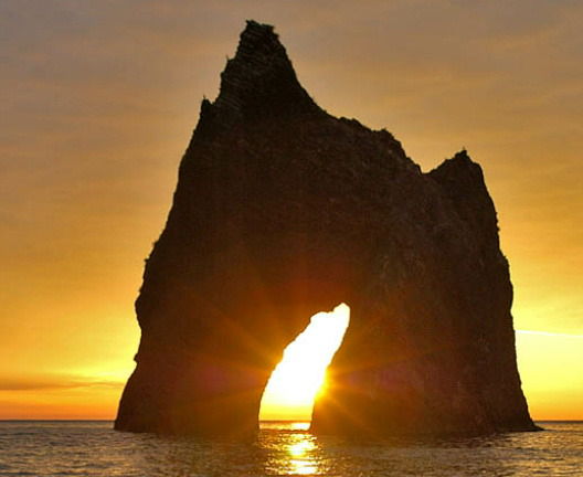 Таня Кольчик