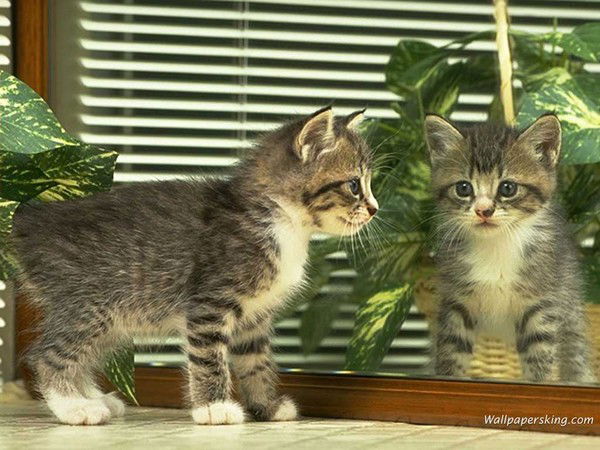 Мархаба Турсунова