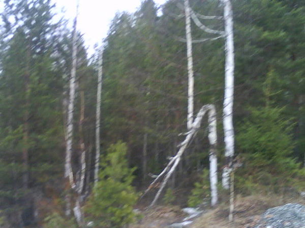 Александр Толстых