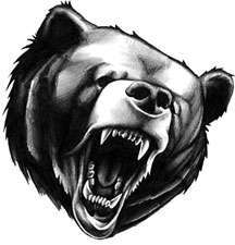 Павел Дубровин