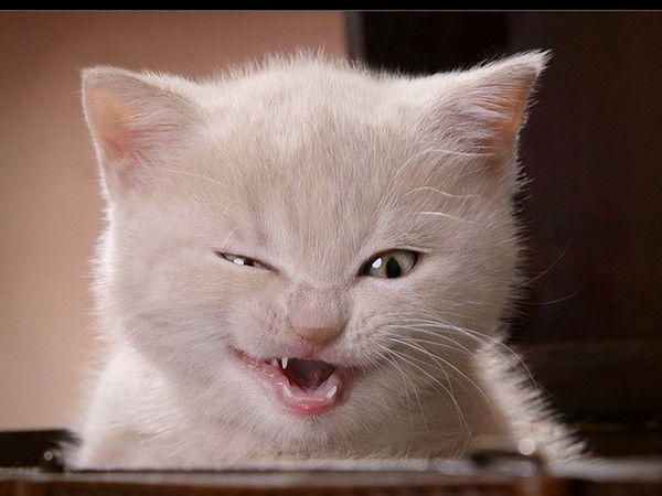 Светлана &&&&&