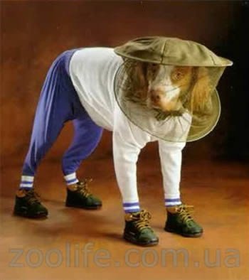 Mgnmaks Хренов