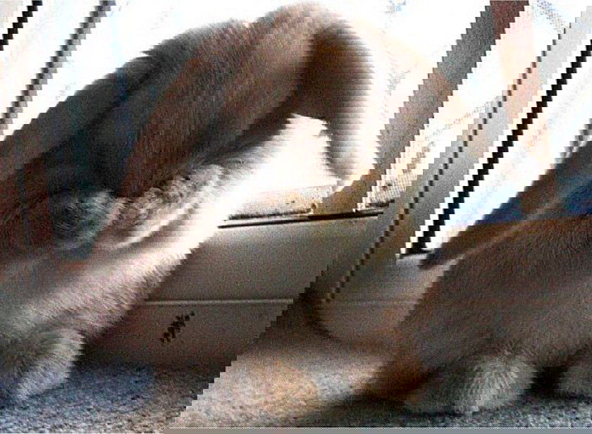 Саша Тымченко