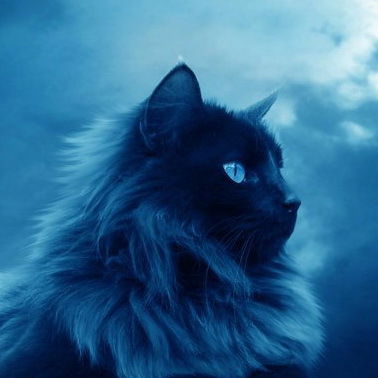 Гедеван Александрович