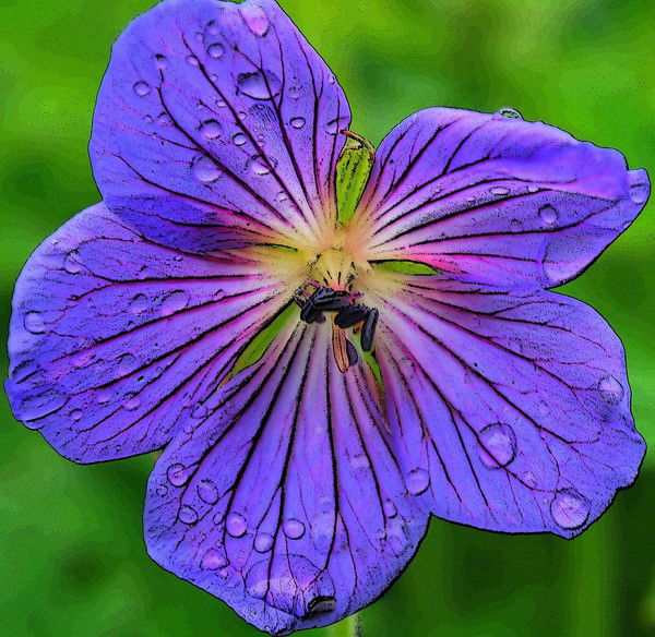 Ляззат Лесбекова